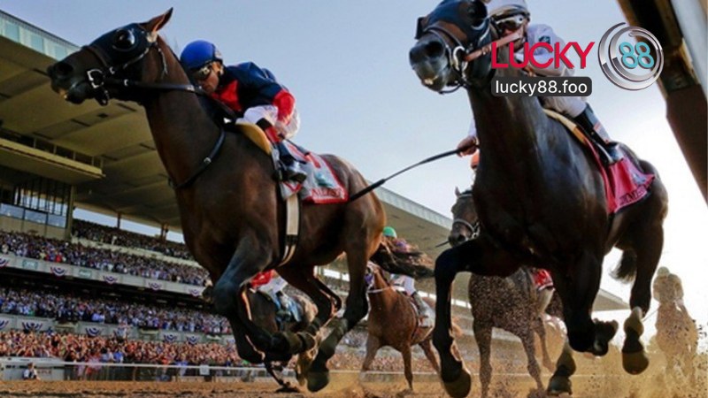 Sảnh Thể Thao Ảo Saba